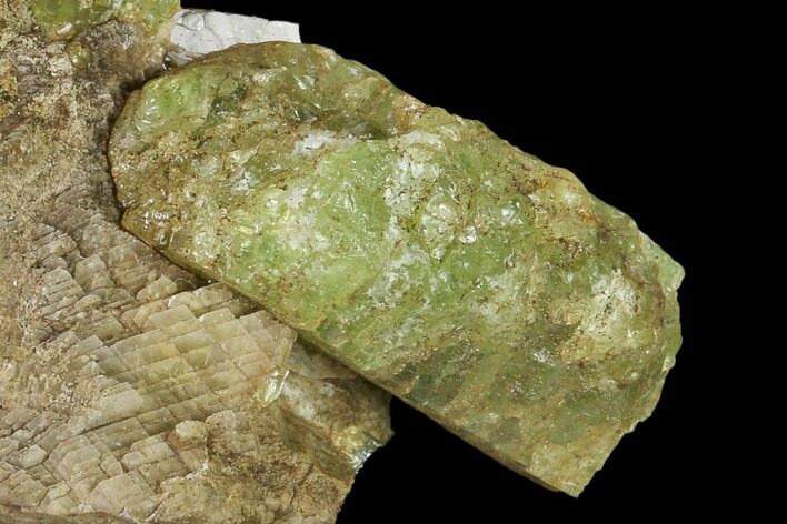 Yellow-Green Fluorapatite Crystals in Calcite - Ontario, Canada #137111